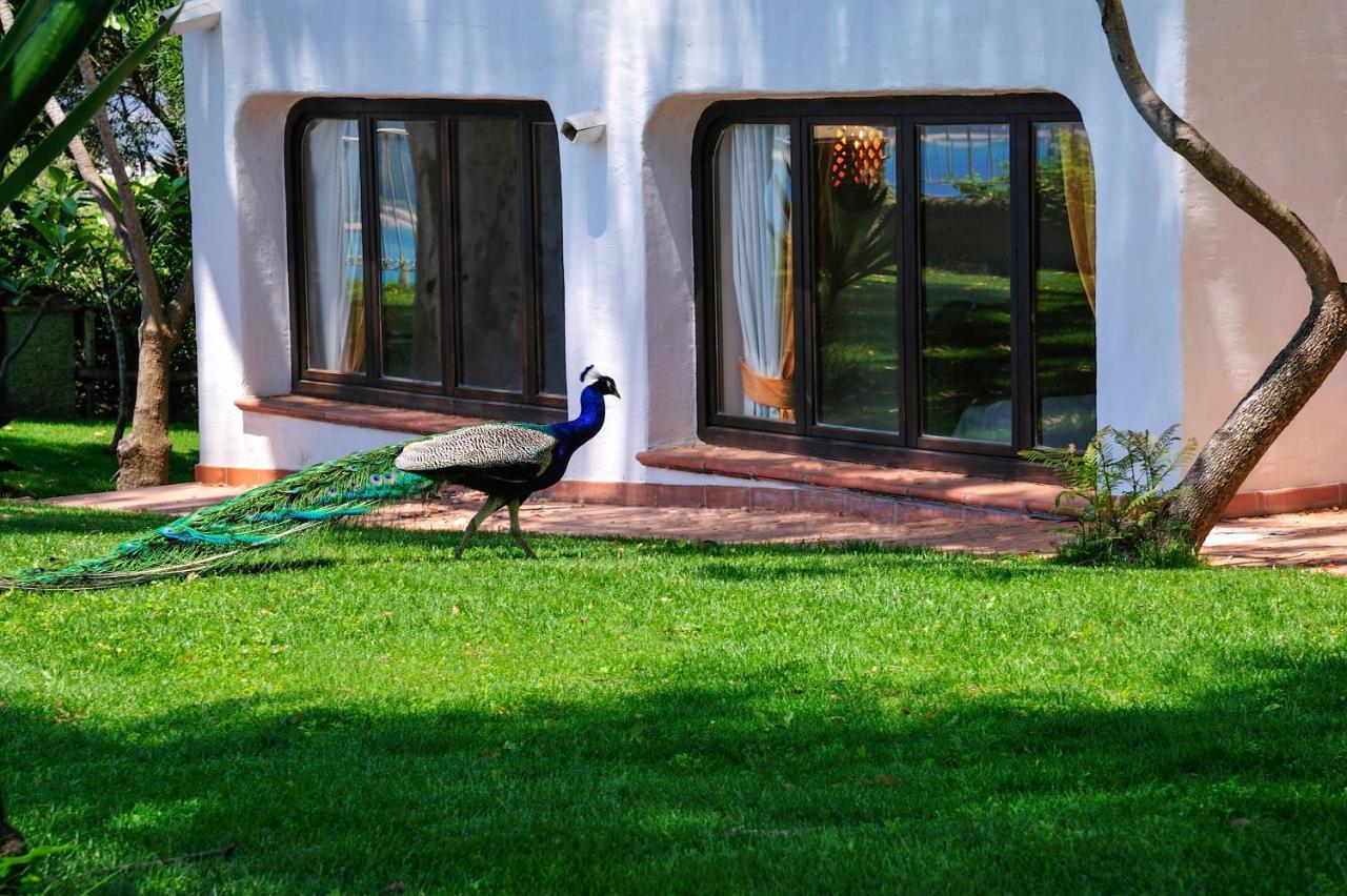 Arbatax Park Resort - Ville Del Parco Extérieur photo